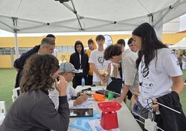El equipo ganador del IES Tablero I Aguañac.