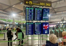 Turistas revisan sus vuelos en un panel informativo del aeropuerto de Málaga.