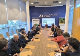 Imagen de la reunión de trabajo para coordinar la iniciativa en la sede de la Diputación.