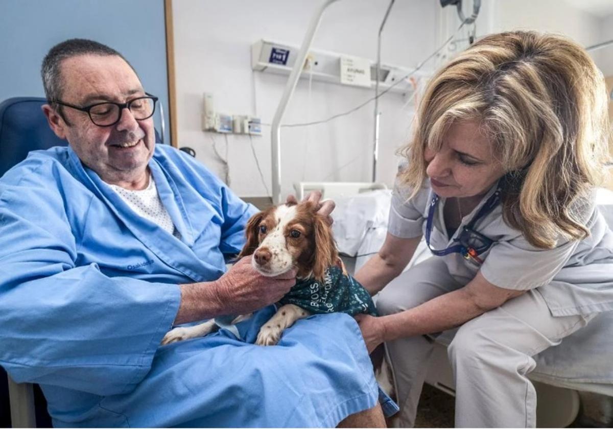 Osakidetza permitirá que los perros acompañen a sus dueños hospitalizados