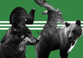 Un centenar de especies en peligro en Asturias