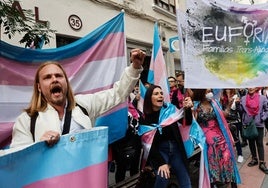 La ponencia del Constitucional avala la 'ley trans', pero con modificaciones