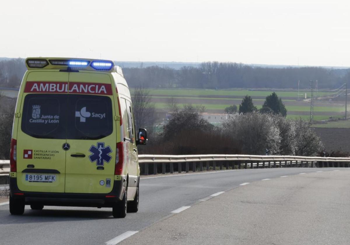 Los heridos han sido trasladados a un centro hospitalario de Zamora.
