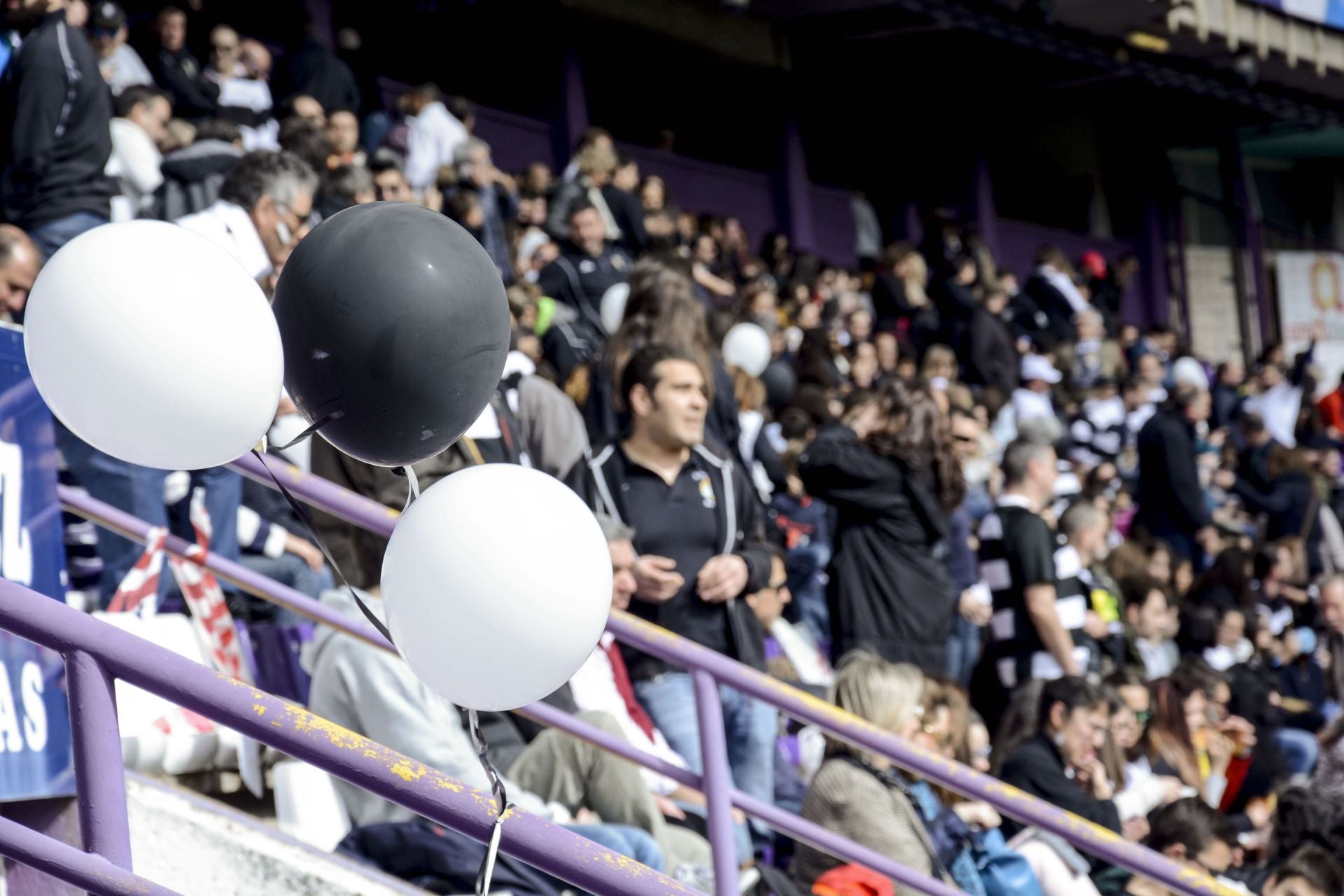 Fotos de la Copa del Rey de Rugby celebrada en el José Zorrilla entre los dos equipos vallisoletanos en 2016