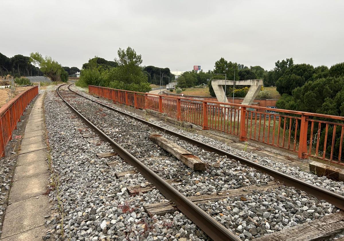 Los pasos de Ariza anticipan un nuevo choque en la sociedad Valladolid Alta Velocidad