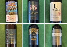 Rozita, Beronica, Enriqueta... Los Rioja 'de mentira' en Vietnam