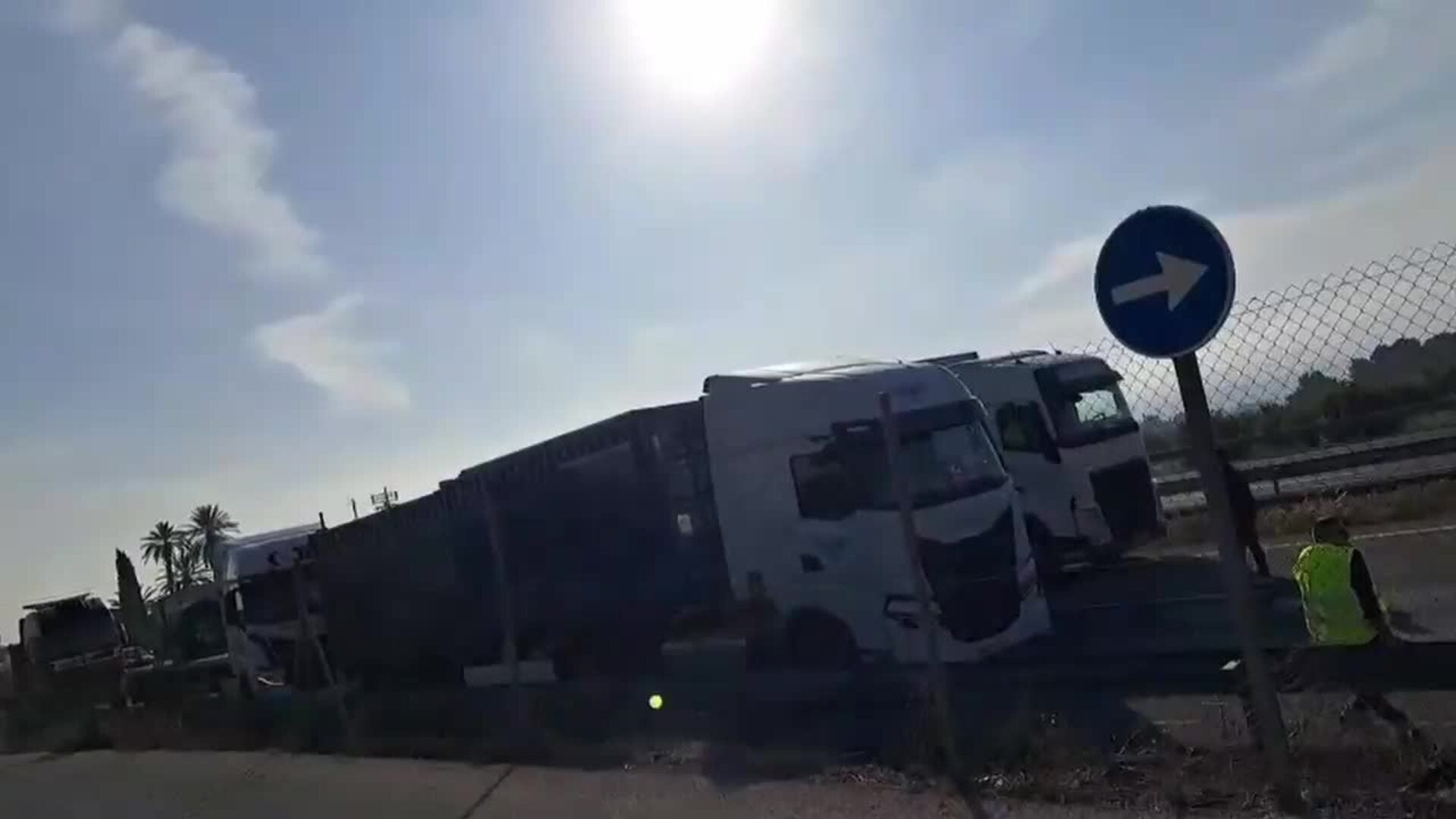 Vuelca un camión que transportaba cerdos en la autovía A-7