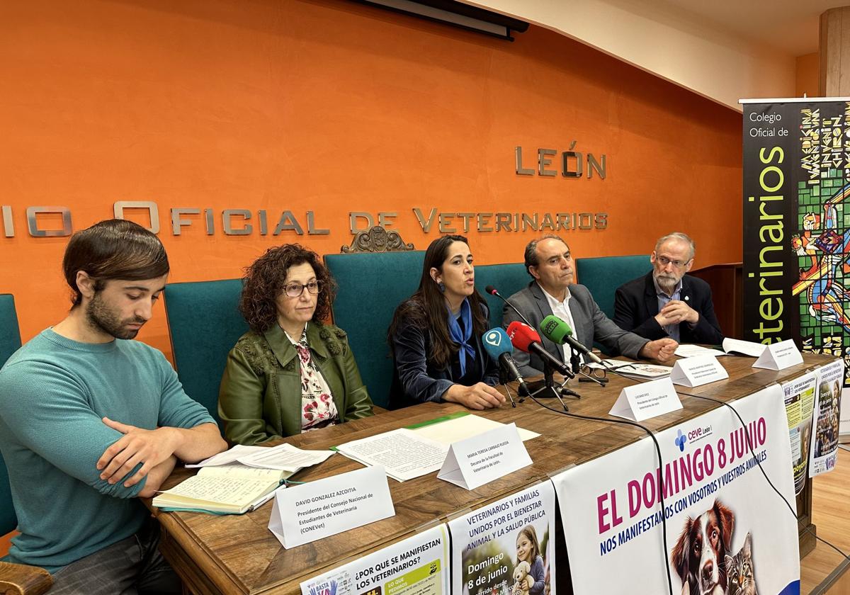 Los veterinarios de León, en pie de guerra: «Delinquimos porque no queremos matar a los animales»