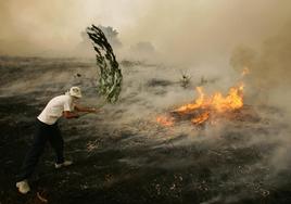 Incendio forestal en Galicia.