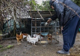 Demetrio, vecino de Cueto, da de comer a las aves en el jardín de su vivienda.