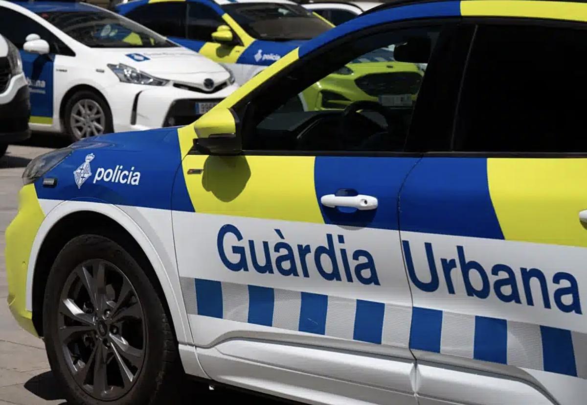 La Guardia Urbana de Tarragona abate a un perro en la A-7 por «poner en peligro» la circulación