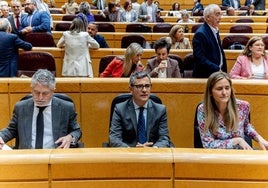 El ministro del Interior, Fernando Grande-Marlaska, (izq) durante una sesión de control en el Senado