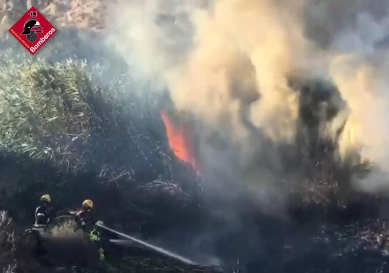 Los bomberos luchando contra las llamas de un incendio forestal en Mutxamel.