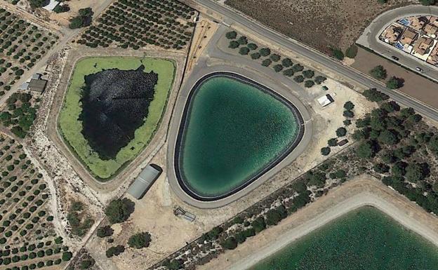 Finca con embalse en Pinar de Campoverde.