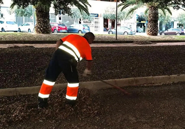 Alicante se plantea elevar las sanciones a los infractores de la ordenanza de Limpieza